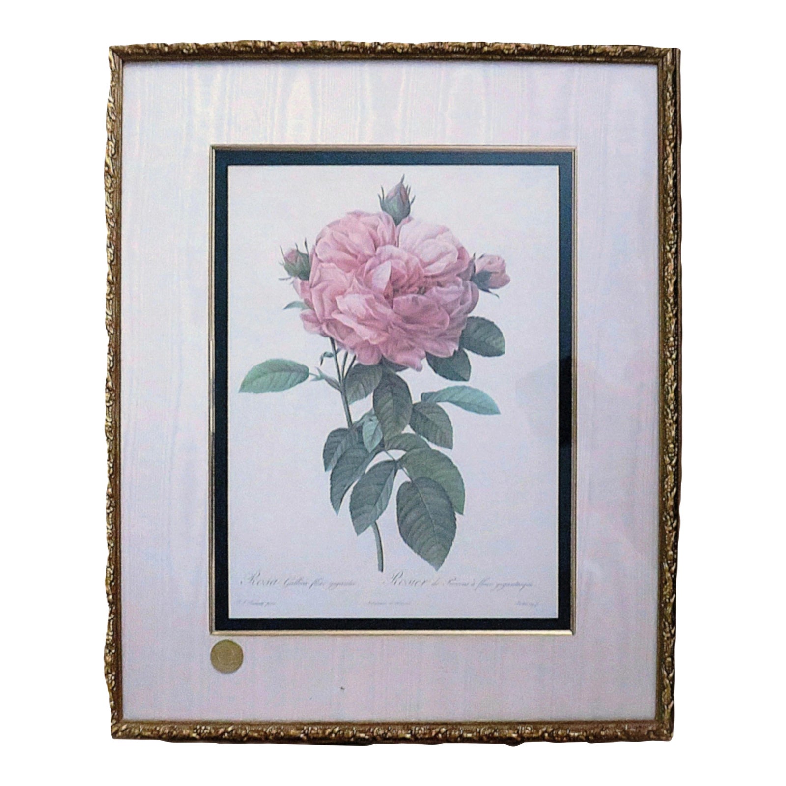 Large French Pierre J. Redoute Framed Lithograph Roses Still Life ...