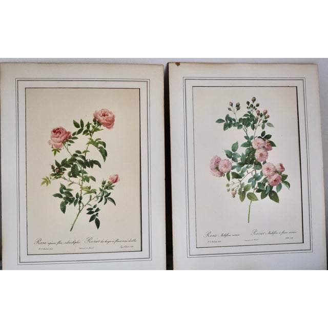 Early 20th Century Vintage Lithographic Prints of Roses From Remond Paintings - A Pair For Sale - Image 5 of 5