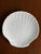 White Contemporary Scallop Shell Shaped White Ceramic Plates— Set of Four For Sale - Image 8 of 18