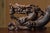 Vietnamese Nha Trang White Kyara Agarwood — “Dragon Across the World” Water-Sinking Grade Sculpture For Sale - Image 6 of 9