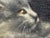 Gray British Persian Cat Oil Painting by Agnes Augusta Talboys Rwa With Decorative Tea Service For Sale - Image 8 of 18