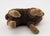 Black Vintage Alpaca Plush Toy, 1960s For Sale - Image 8 of 13