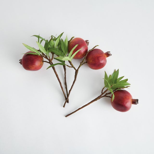 One of the more vibrant and aesthetically beautiful fruits, the pomegranate is a favorite among painters and sculptors...