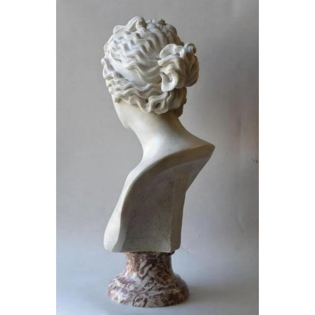 Italian Artist, Venere Medici Head, Early 20th Century, Marble For Sale - Image 9 of 11