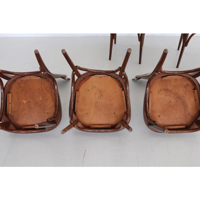 Midcentury Modern Italian Dining Chairs, 1950s, Set of 6 For Sale - Image 12 of 18