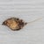 Victorian Antique Pearl Floral Leaf Brooch Pendant 14k Yellow Gold 1860s Pin For Sale - Image 3 of 6