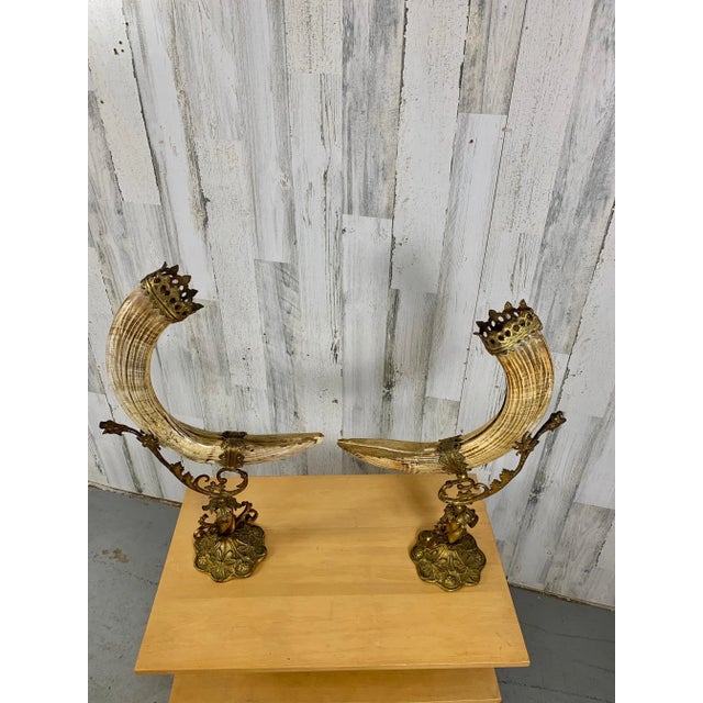 Antique Wild Boar Trophies For Sale - Image 9 of 12