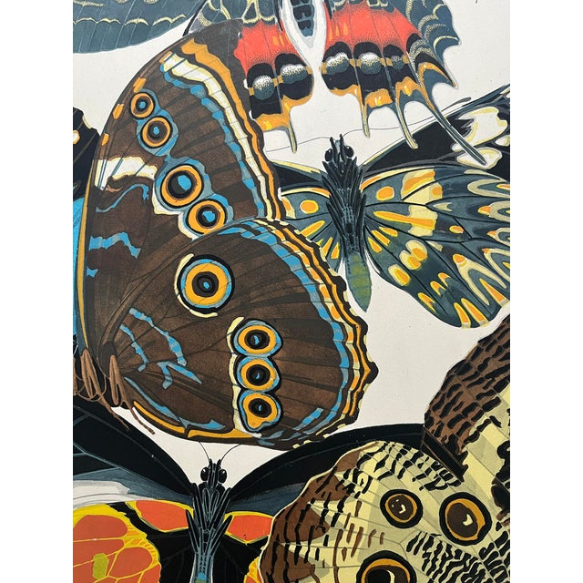 1920s Original E.A. Séguy Butterfly Print(s) From Papillons (No.2) For Sale - Image 4 of 4