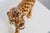 Ceramic Hand‑painted Ceramic Leopard Sculpture from Giovanni Rozan, Italy, 1950s For Sale - Image 7 of 11