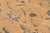 1990s Shabby Chic Orange/Beige Wool Rug - 8'2'' X 10'1'' For Sale - Image 5 of 10