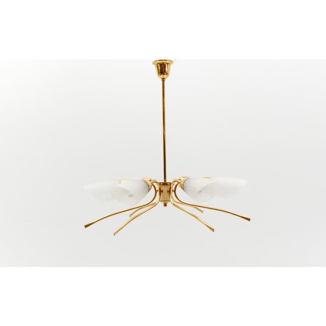 Mid-Century Modern Six-Armed Brass Sputnik Lamp, 1950s For Sale - Image 13 of 13