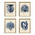 Set of 4 Vintage Blue Seaweed Art Print Reproductions (Set of All 4) Framed For Sale