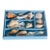 Vintage Sea Shell Collection Coastal Marine Specimens in Blue Box For Sale