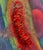 Early 21st Century Lu D Huang "Mirage" Mixed Media on Canvas For Sale - Image 5 of 10