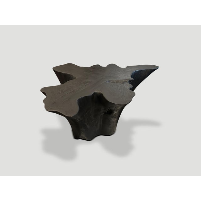 Andrianna Shamaris Sculptural Charred Teak Wood Coffee Table For Sale In New York - Image 6 of 18