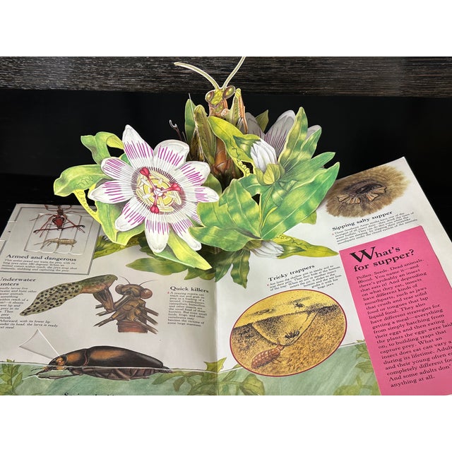 Light Green Bug Pop Up Book For Sale - Image 8 of 8