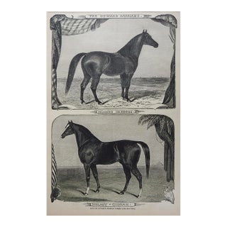 1861 Harpers Weekly Arabin Horses Engraving For Sale