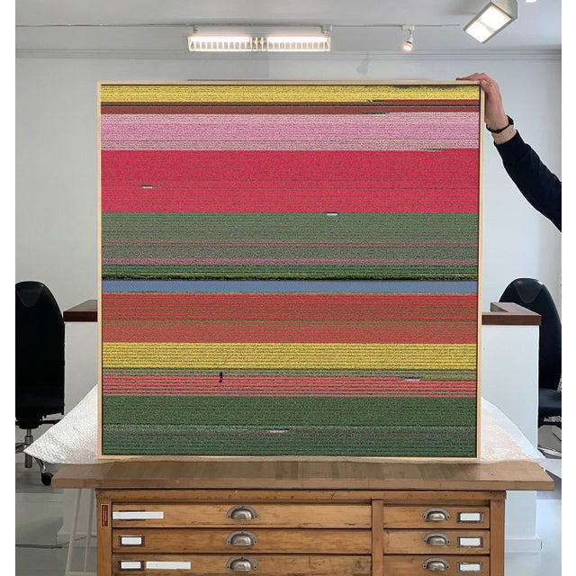 AV_Tulip_Fields_036" Contemporary Aerial View Limited Edition Photograph by Bernhard Lang For Sale - Image 4 of 12