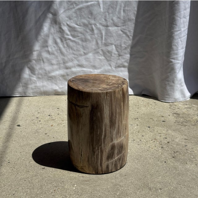 Wood Small Side Table in Beige-Grey and Petrified Wood, 1980s For Sale - Image 7 of 18