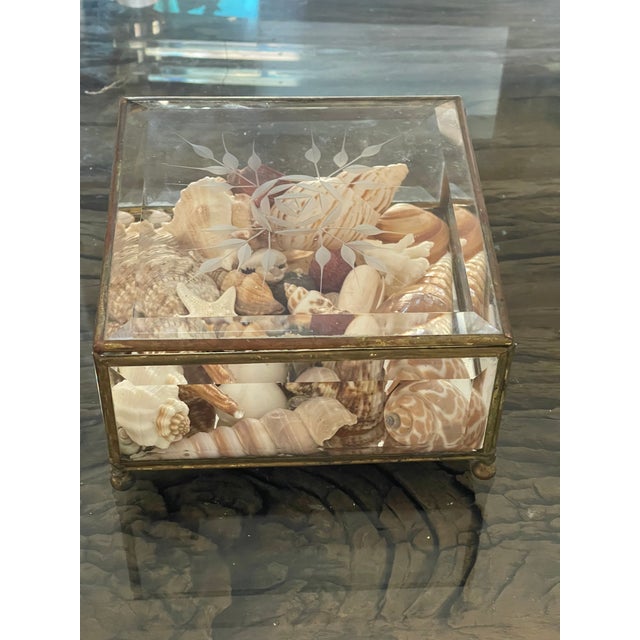 Tan Antique Crystal Bevelled Glass Brass Box With Sea Shells For Sale - Image 8 of 9