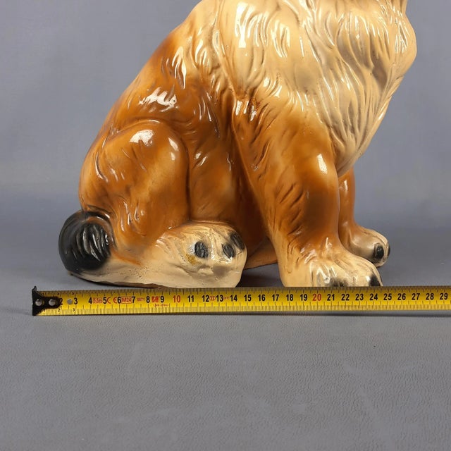 Brown St. Bernard Dog Sculpture in Plaster, 1970s For Sale - Image 9 of 11