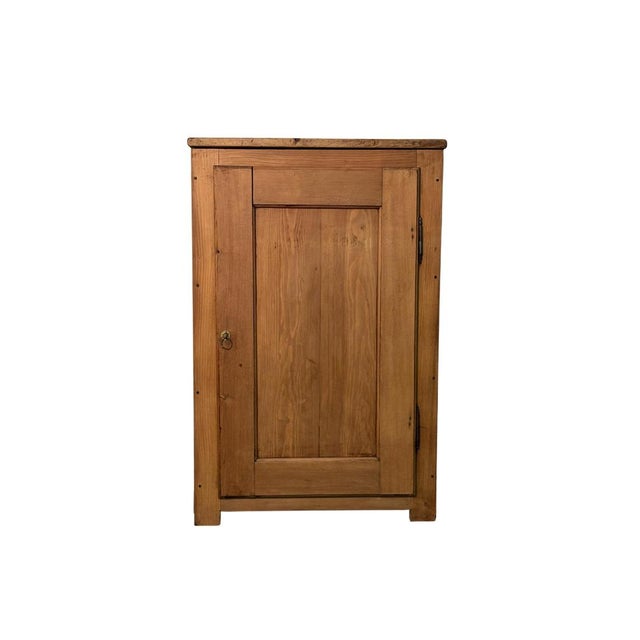 Early 20th Century Fir Wood Cabinet with Single Door For Sale - Image 5 of 5