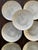 Ceramic Vintage Mid-Century Modern Rosenthal 9.75” Plates in Loewry Grasses Pattern - Set of Seven (7) For Sale - Image 7 of 11