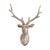 The Deer Head from Zentique is a decorative terracotta deer head wall mount. The 20" height creates a rustic, nature-...