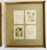 Framed 1920s Antique "Chicken Little" Children's Book Plates - A Pair For Sale - Image 9 of 11