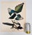 Audubon Bird Print – “American Magpie”, 1964 Abrams Folio – Vintage Ornithology Art 1964 print from "The Audubon Folio:...