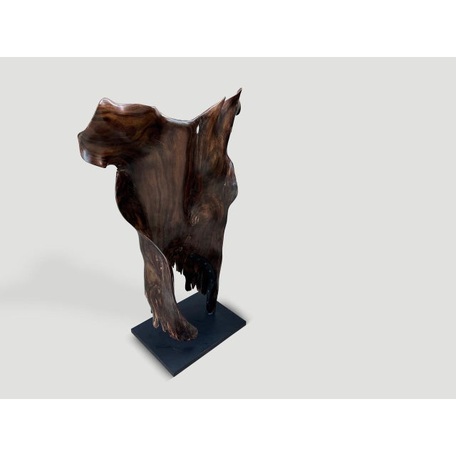 2010s Andrianna Shamaris Rare Ancient Wood Torso For Sale - Image 5 of 5