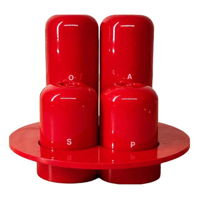 Vintage Italian Condiment Set by Ambrogio Pozzi for Guzzini, 1970s, Set of 4 For Sale