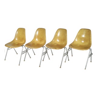 Vintage Eames Fiberglass DSS Stacking Chairs by Charles and Ray Eames for Herman Miller Set of 4 For Sale