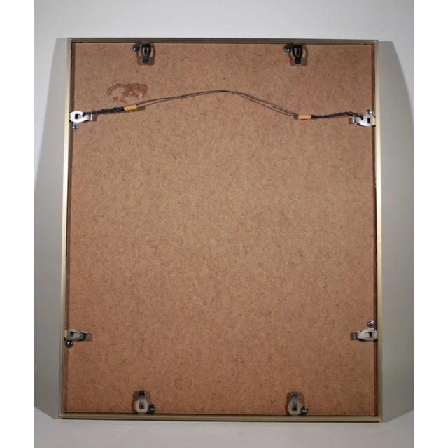 Metal John Gould (1804-1881), Erythrosterna Parva, Hand Colored Lithograph, 1862-1873 For Sale - Image 7 of 10