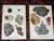 Realism Authentic Antique 1916 Mineral Lithographs - Set of 12 For Sale - Image 3 of 8