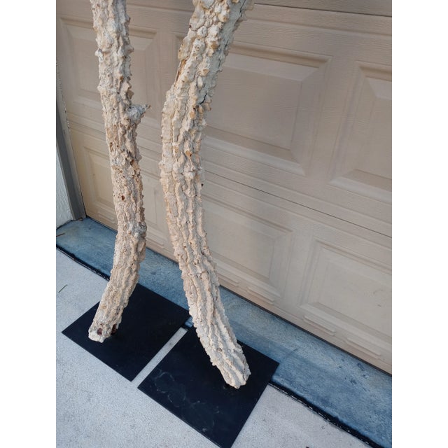 Extra Tall Organic Coastal Tree Limb Branch Sculptures Art Statues on Steel Base- a Pair For Sale - Image 10 of 11