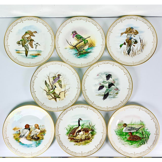 1980 Vintage Arts & Crafts English Bone China Water Fowl Birds Dinner Plates -Set of 8, Thanksgiving For Sale - Image 6 of 18