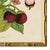 2020s Reproduction Giclee Print of Vintage Fruit & Flowers (1) Art Print, Framed For Sale - Image 5 of 6