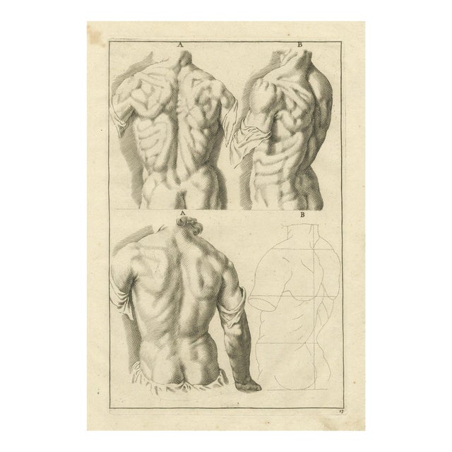 After De Lairesse, Anatomical Back Studies Academic Figure, 1745, Paper For Sale