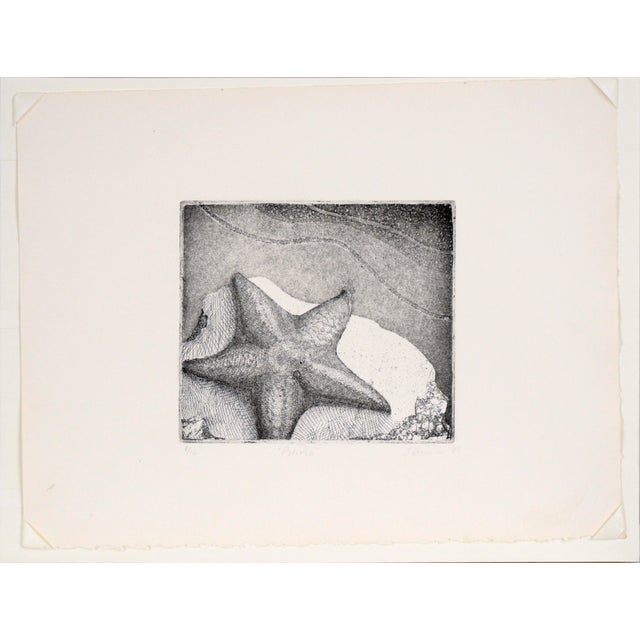 Delightfully detailed starfish at the shore by unknown artist J. Brown (20th Century). A starfish sits atop a rock at the...