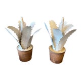 Vintage French Zinc Agave Sculptures - 1950s- Set of 2 For Sale