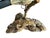 1950s Austrian Wood Carved Bird 75 For Sale In Aspen - Image 6 of 6
