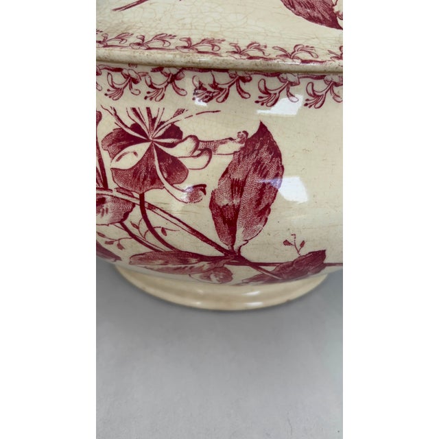 Red Ironstone Tureen with Honeysuckle Pattern from Gien Factory, 1890s For Sale - Image 11 of 13