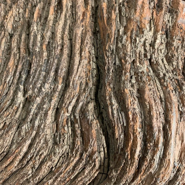 Massive Burl Wood Bowl For Sale - Image 11 of 12