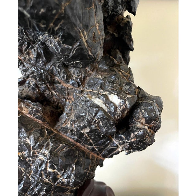 Large and Substantial Chinese Scholar Rock on Display Stand For Sale - Image 12 of 18