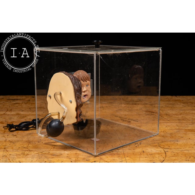 Late 20th Century Late 20th Century Health Edco Innocent Smoker Educational Demonstration Model For Sale - Image 5 of 18