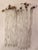 1900 - 1909 Blown Glass Tube Form Chandelier or Candelabra Drops For Sale - Image 5 of 12