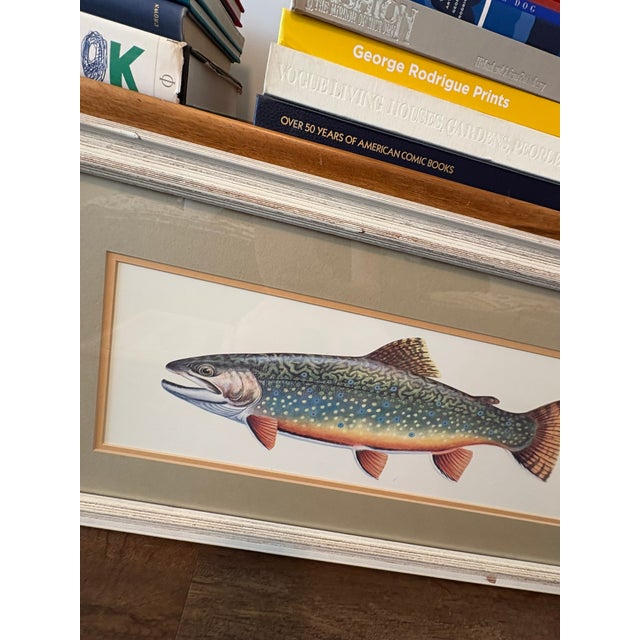 Vintage Framed Trout Fish Prints Cabin Coastal Wall Art - A Pair For Sale In Miami - Image 6 of 11