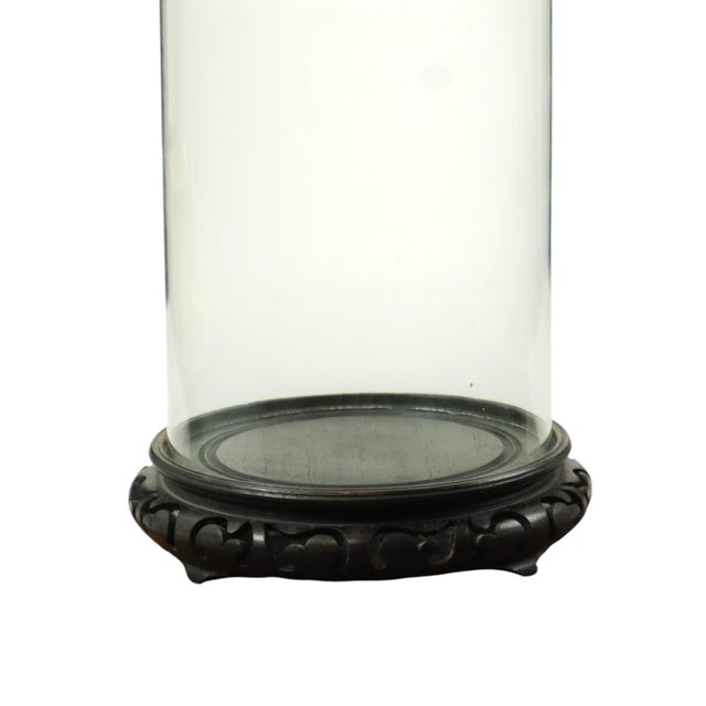 Large Antique Mouth-Blown Glass Dome on Asian Wooden Base, 1890s For Sale - Image 3 of 11