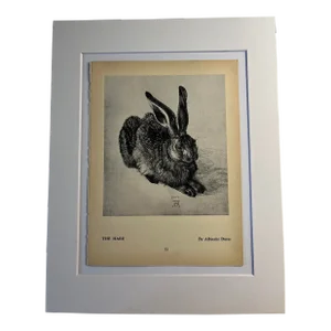 1942 Hare After Albrecht Durer Print
